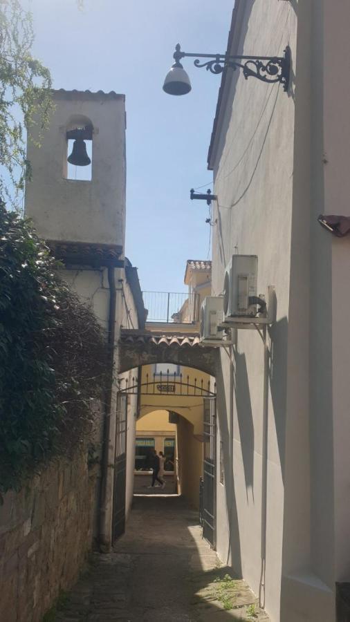 Museum * Koper